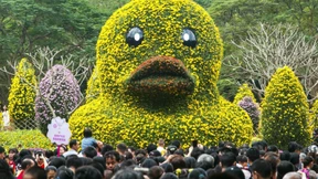 Für den einen Moment November 2014