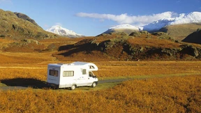 Herdentrieb der Individualisten