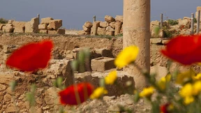 Betonierte Aphrodite