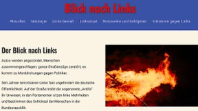 AfD schaltet Meldeportal gegen Linksextremismus frei