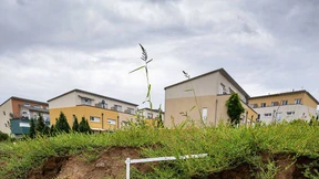 Hoher Flächenverbrauch hat dramatische Folgen