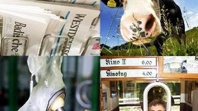 Wofür gilt der ermäßigte Mehrwertsteuersatz