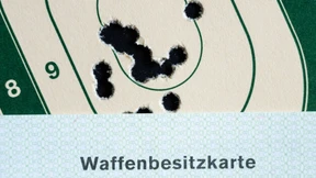 Fast 50.000 Privatwaffen verschwunden oder gestohlen