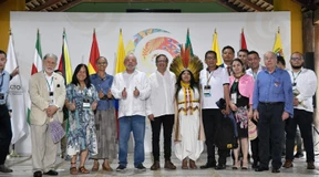 Den Regenwald retten – aber wie?