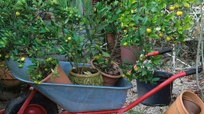 Umzug ins Winterquartier