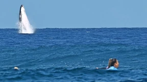 Wie eine Hochzeit im Paradies