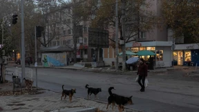 Selenskyj ersetzt Chef der Spezialeinsatzkräfte