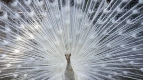 Ich wollte auch was sagen