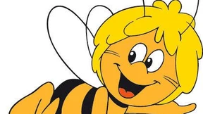 Auch eine deutsche Bildungsgeschichte