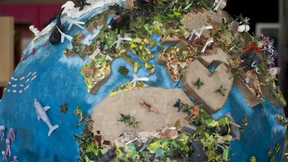 Wenig Erfolgschancen vor dem Weltklimagipfel