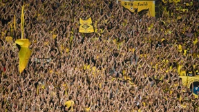 Der Schrecken der Stecknadel