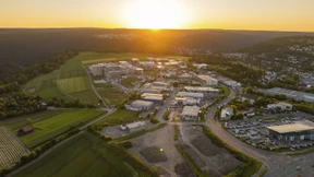 KI-Nutzung wächst, Skepsis sinkt