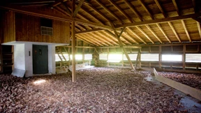 Optimale Ernte zum perfekten Zeitpunkt 