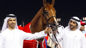 Betrug und notorische Tierquälerei