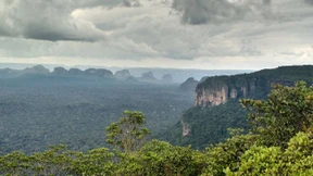 Der wichtigste Ort der Artenvielfalt auf der Welt