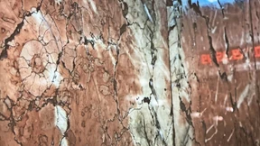 Mit der U-Bahn ins Paläozoikum