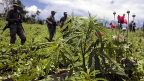 Drogenboss „Betty die Hässliche“ festgenommen