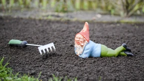 Zwölf Minuten – reicht das für den Garten?