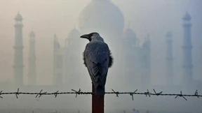 Wir können die Natur nicht überwinden