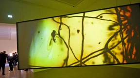 Das Bild im Zeitalter des Digitalen