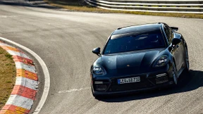 Musk’lspiele in der grünen Hölle