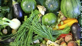 Woher regionale Lebensmittel wirklich kommen