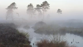 Union kündigt Brüsseler Naturschutzpaket auf