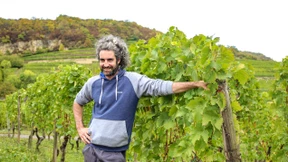 Frischer Wind in den Weinbergen