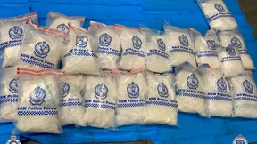 Den Sumpf trockenlegen