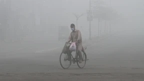 Pakistanische Provinz schließt Zoos und Parks wegen Luftverschmutzung