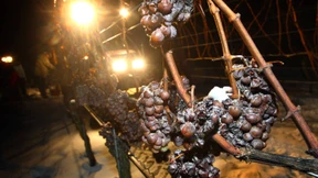 Krönender Abschluss der Wein-Saison