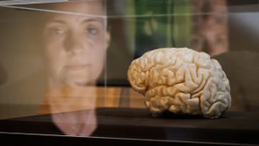 Gefahr Gehirnentzündung – warum man die Symptome kennen sollte