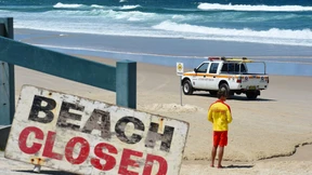 Hai-Angriff rettet Schwimmer das Leben