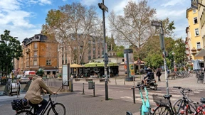 Warum töten Menschen Bäume?