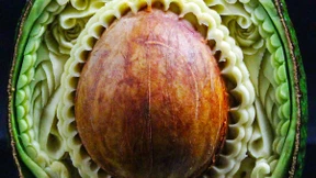 Mehr als Käseigel und Tomatenpilze