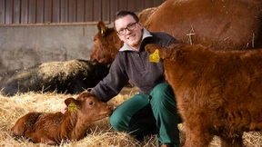 Was diesen Bauern zum Rinderhalter des Jahres macht