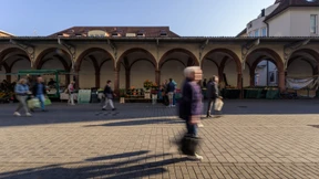 Notwendiger Streit um mehr Grün in der Stadt
