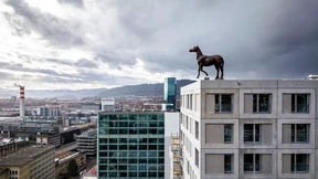 Es steht ein Pferd auf dem Dach