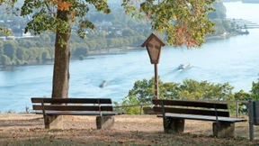 Wo Goethe ins Schwärmen kam