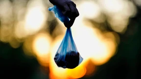 Spanischer Ort setzt im Kampf gegen Hundehaufen Detektive ein