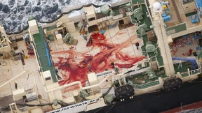 Lieber Pizza als Wal