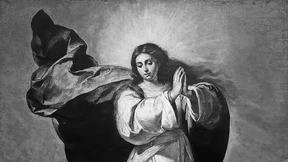 Schönheit als Maß der Politik