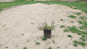 Räumung, nein Danke