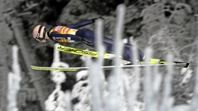 Geiger, der große Stilist