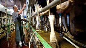 Karrieretipps vom Bauernhof