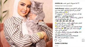 Die Schöne und die Sklaven