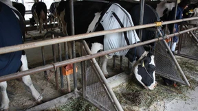 „Kühlbody“ soll vor Sommerhitze schützen