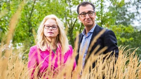 Sand im grünen Getriebe