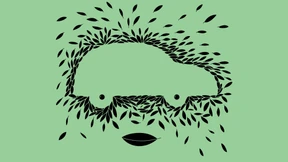 Wie grün ist der Sprit der Zukunft?