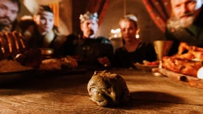 „Das Märchen vom Frosch und der goldenen Kugel“